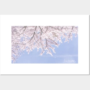 Dreamy Cherry Blossom Posters and Art